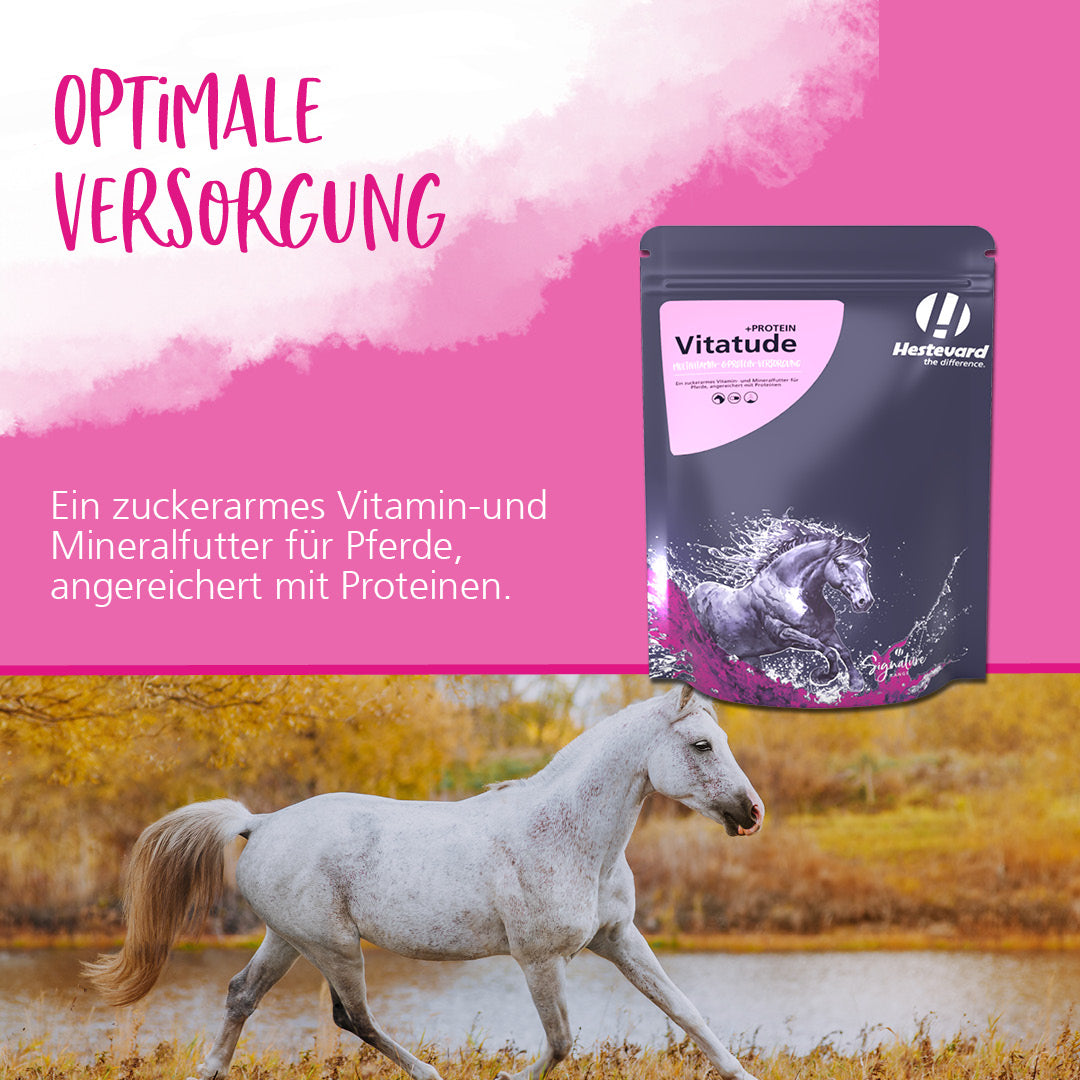 Hestevard Vitatude +PROTEIN, 1.5kg