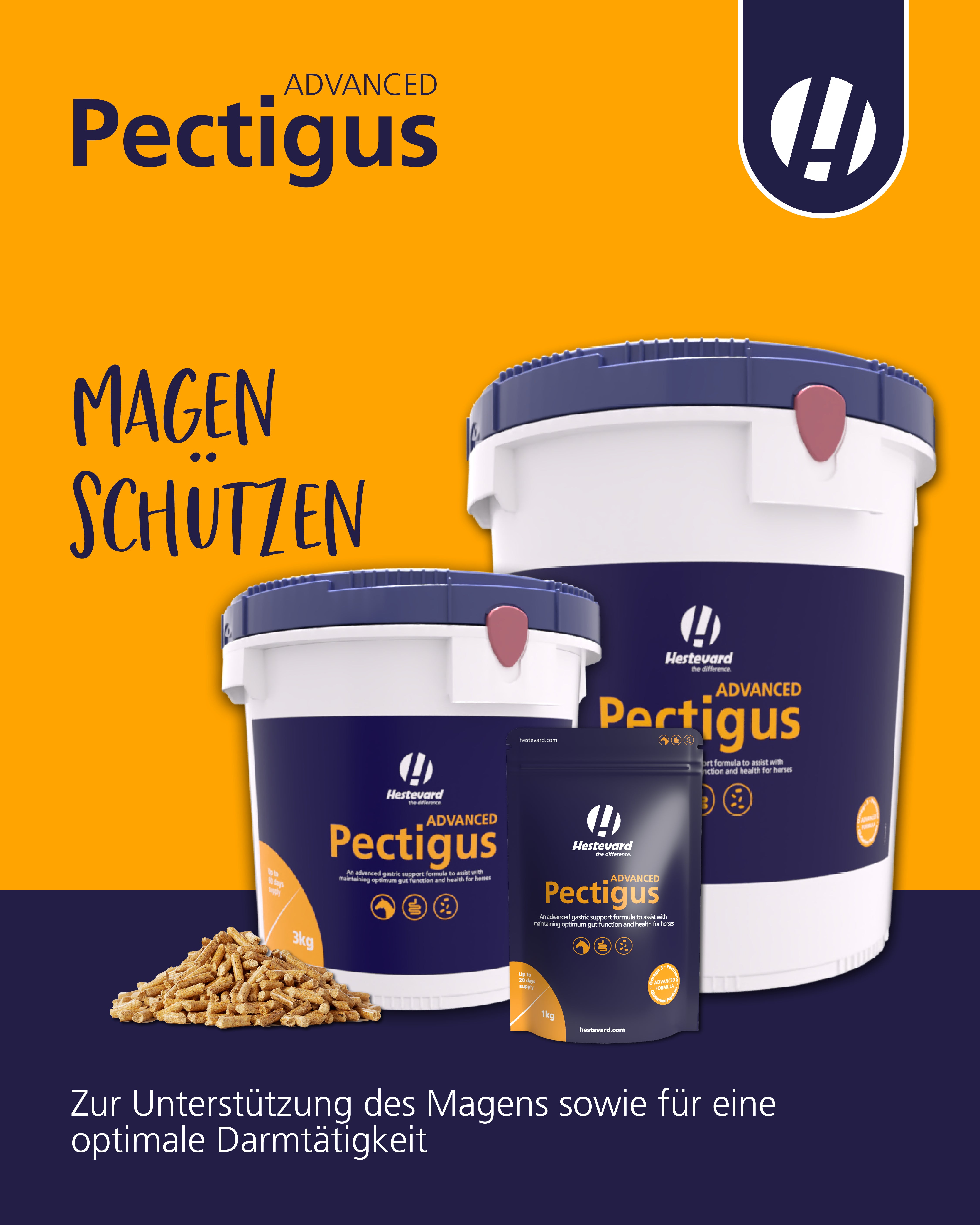 Hestevard Pectigus ADVANCED
