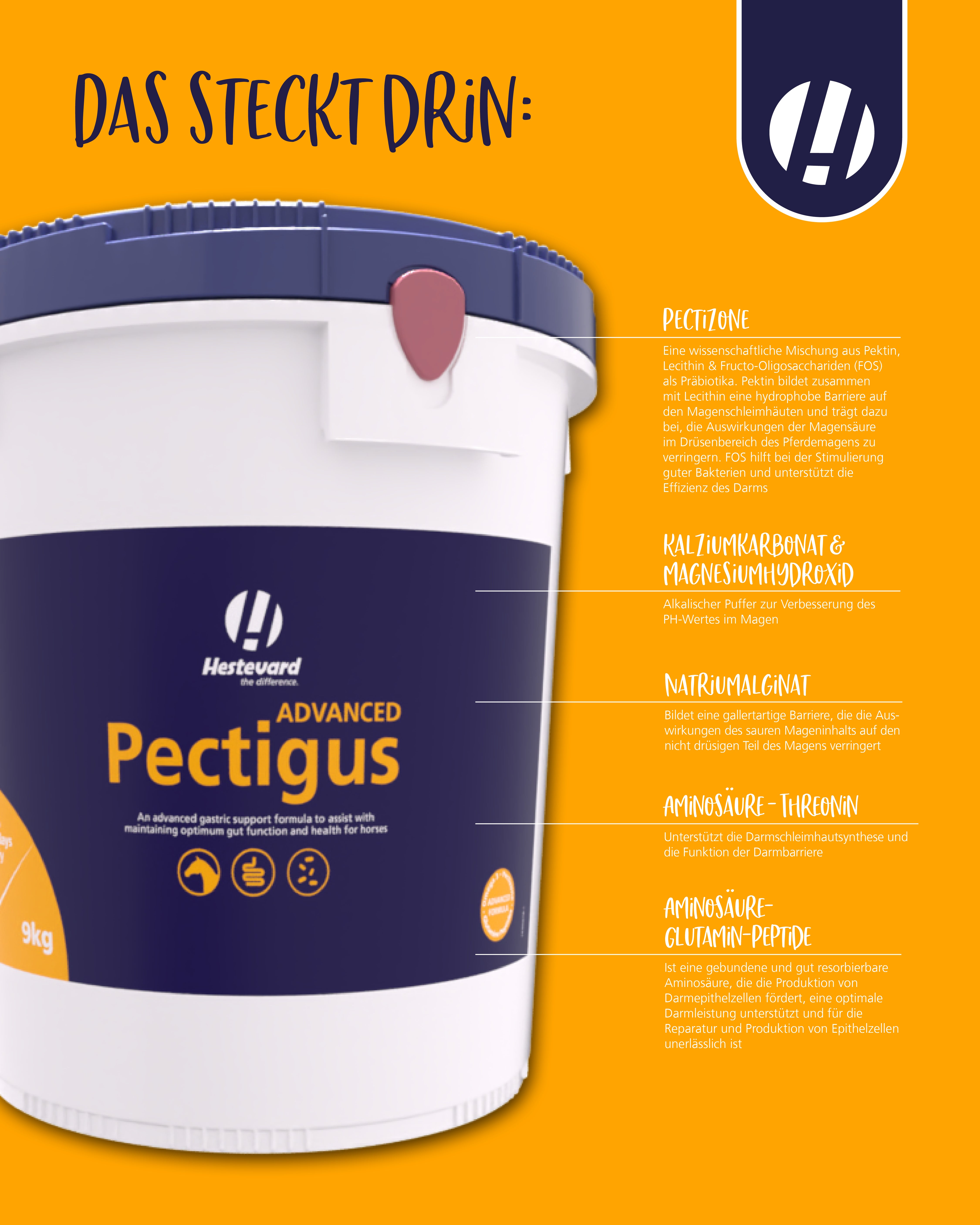 Hestevard Pectigus ADVANCED