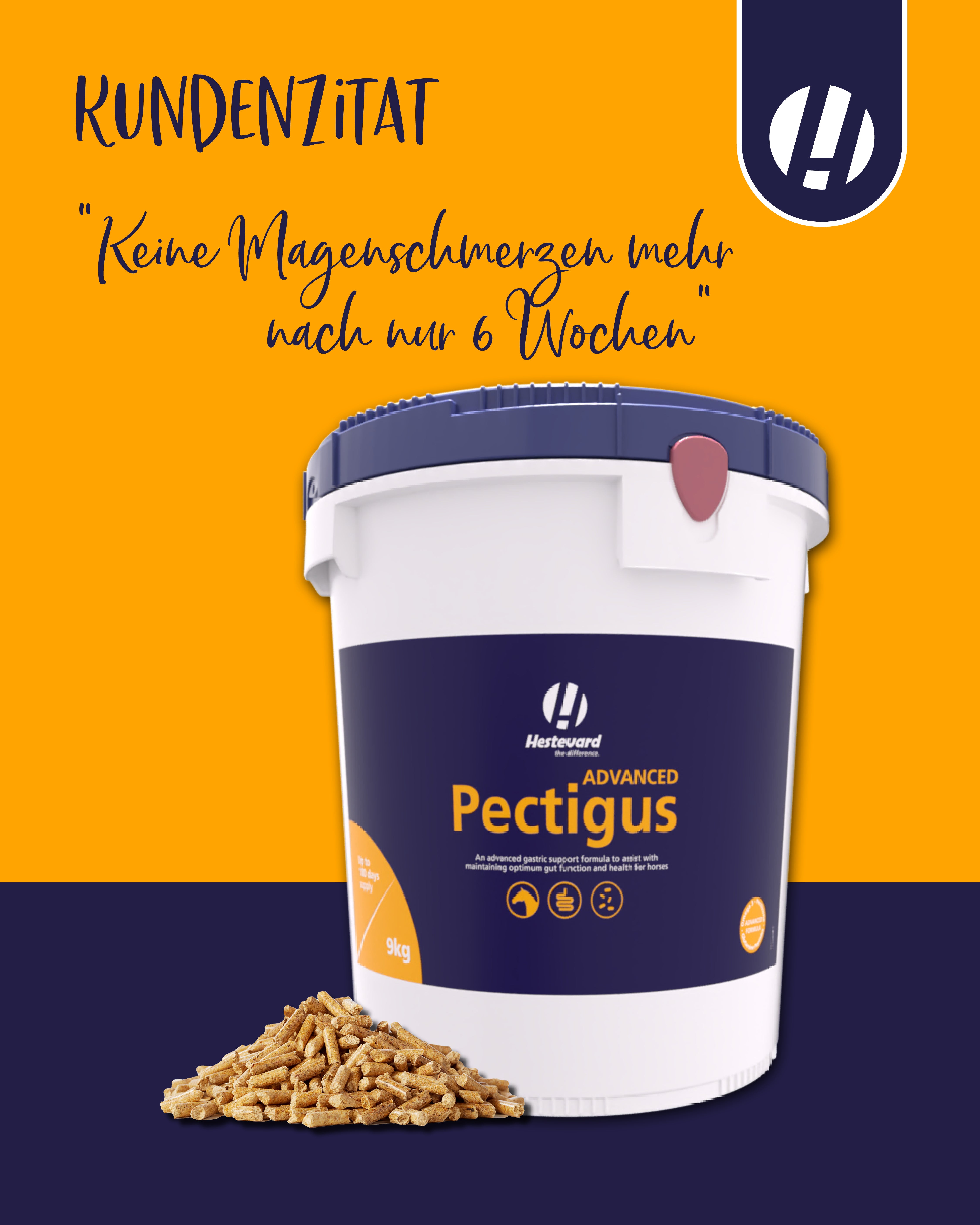 Hestevard Pectigus ADVANCED