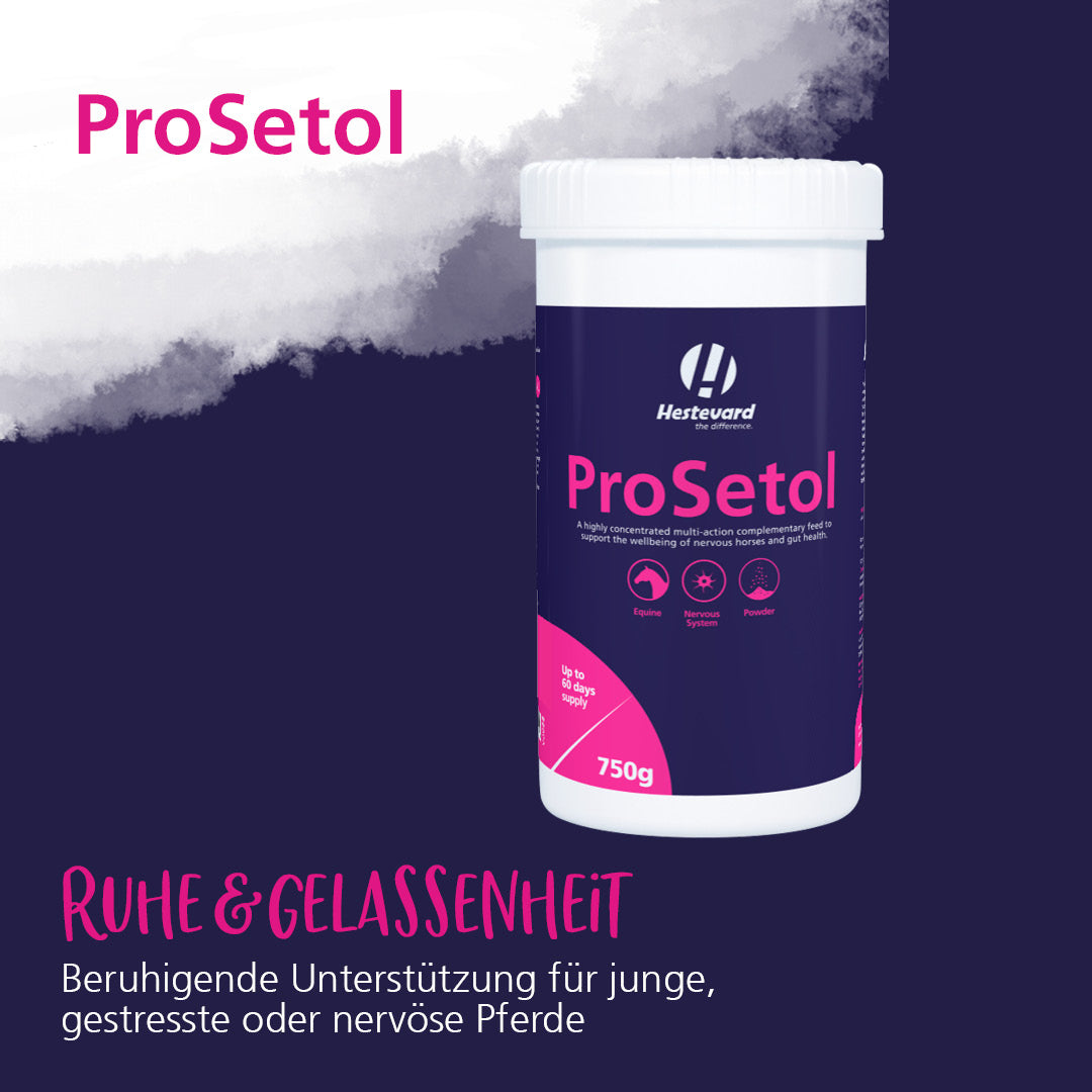 Hestevard ProSetol