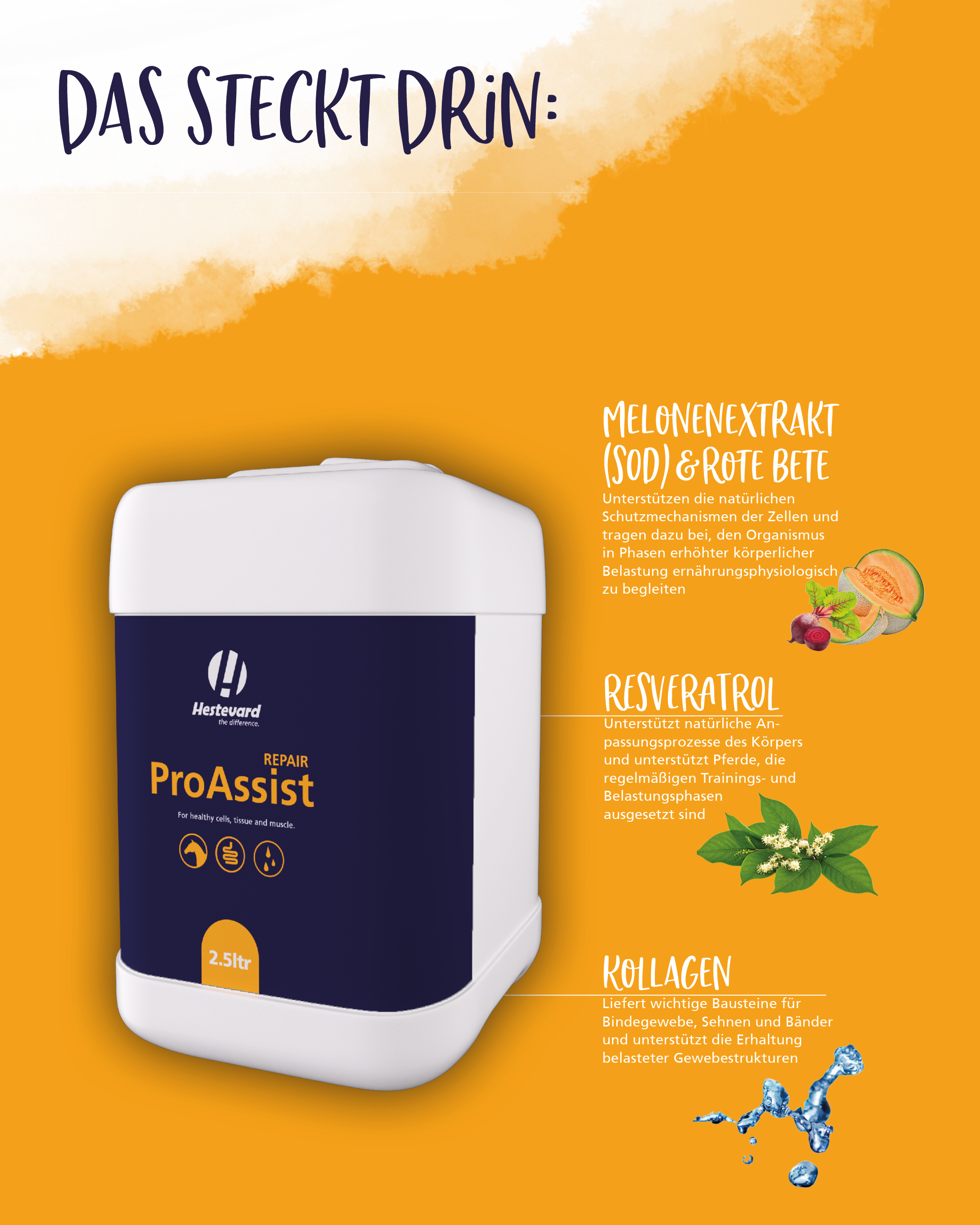 Hestevard ProAssist Repair