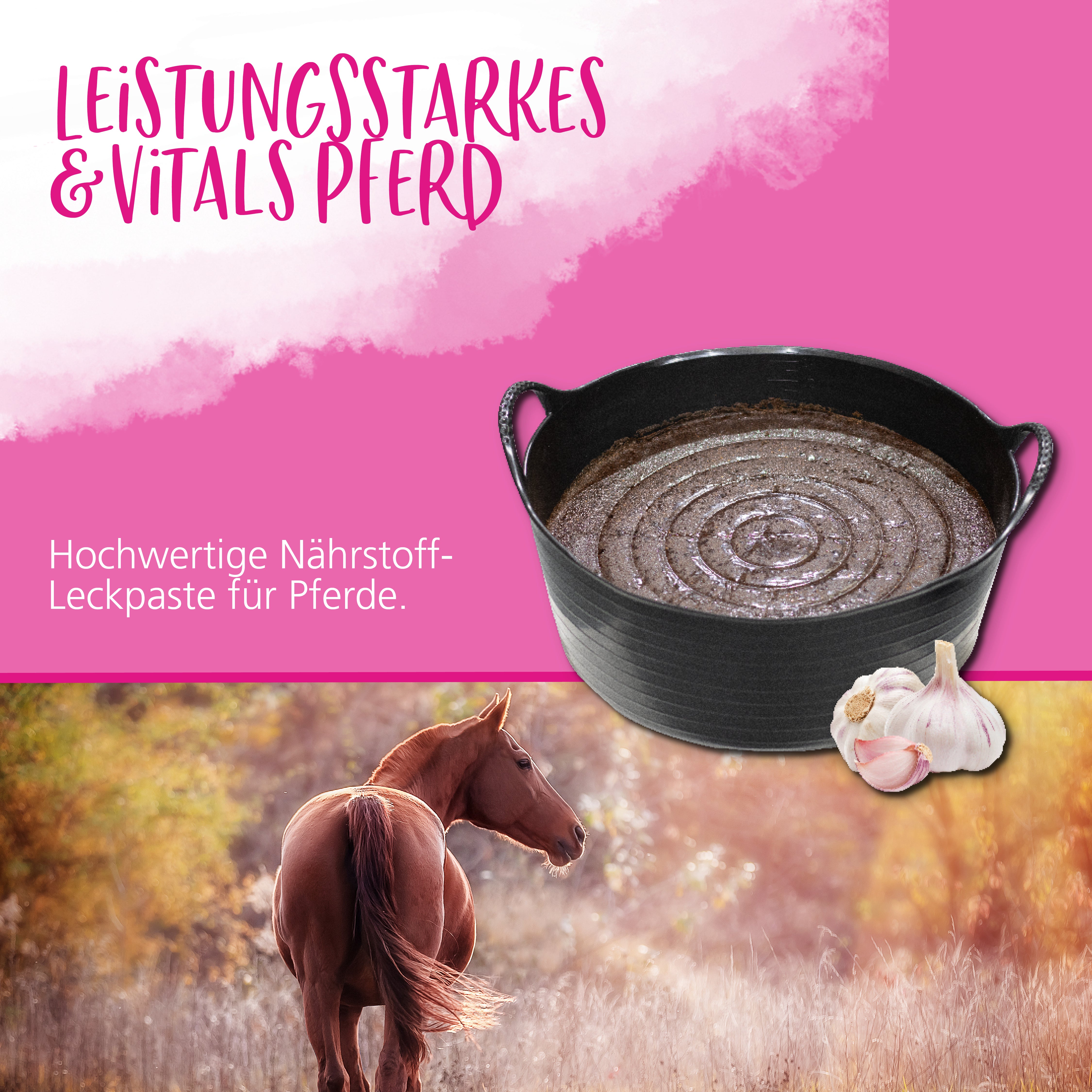 Hestevard Flexilik with Garlic 12.5kg