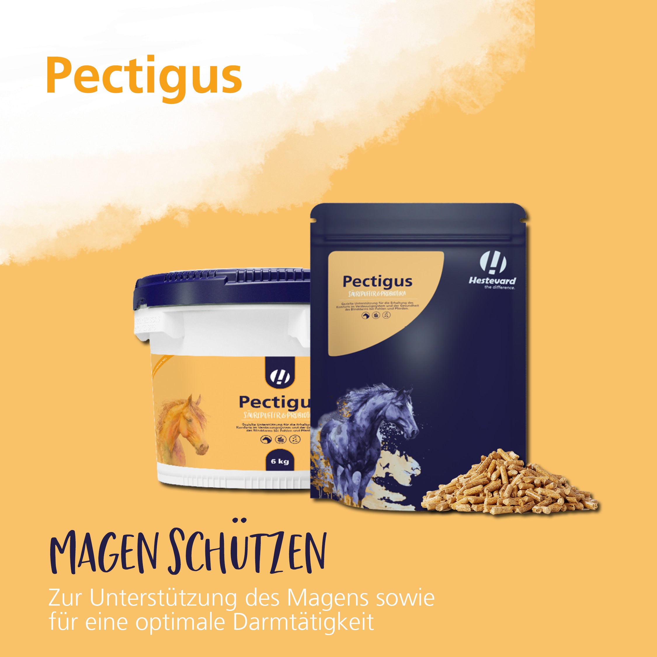 Hestevard Pectigus