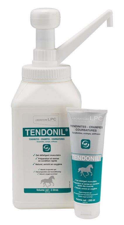 Tendonille