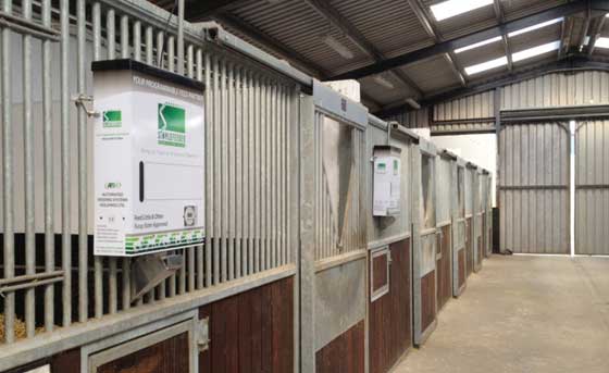 StableGraze concentrate feeder